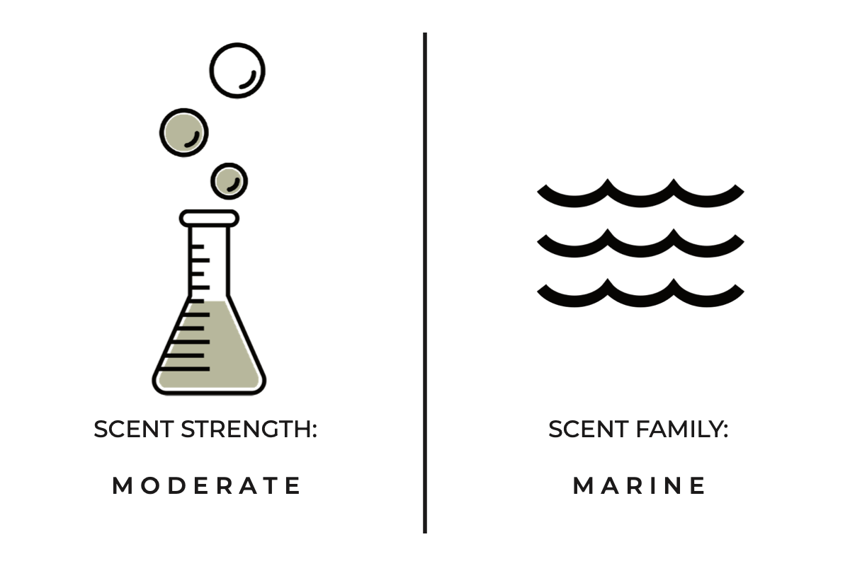 Diagram showing a beaker with bubbles labeled 'Scent Strength: Moderate' and wave symbols labeled 'Scent Family: Marine' on a white background.