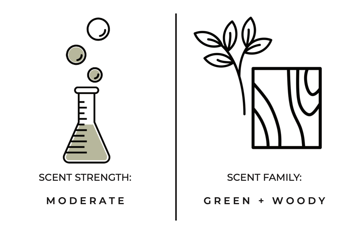 A simple graphic with a vertical divider and two illustrated panels. The left panel shows a beaker with a muted green liquid and the text 'SCENT STRENGTH: MODERATE'.