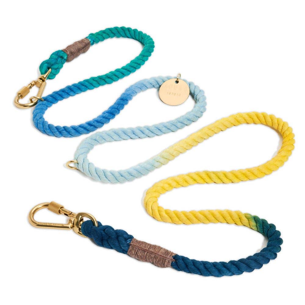 Set of colorful dog leashes with gold clamps on a white background