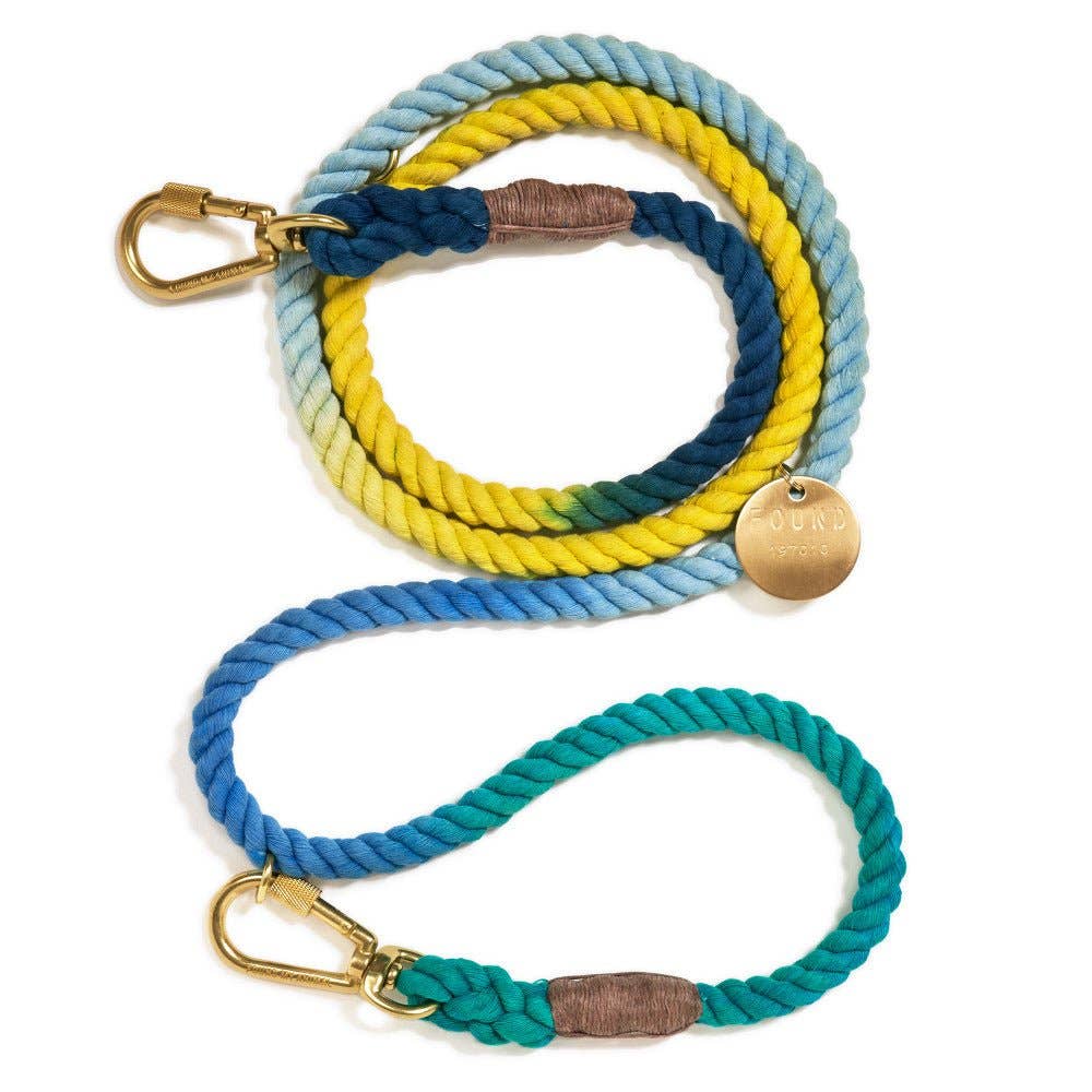 Colorful braided dog leash with gold clasp and wooden tag on a white background
