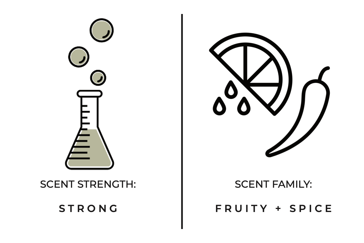 Illustrations of a beaker, lemon slice, and chili pepper with text indicating scent strength and family.