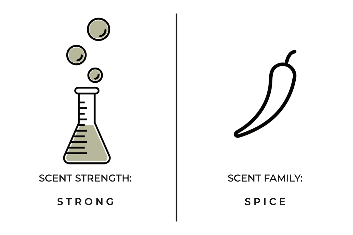 Diagram showing a beaker with bubbles labeled 'Scent Strength: Strong' and a chili pepper labeled 'Scent Family: Spice' on a white background.