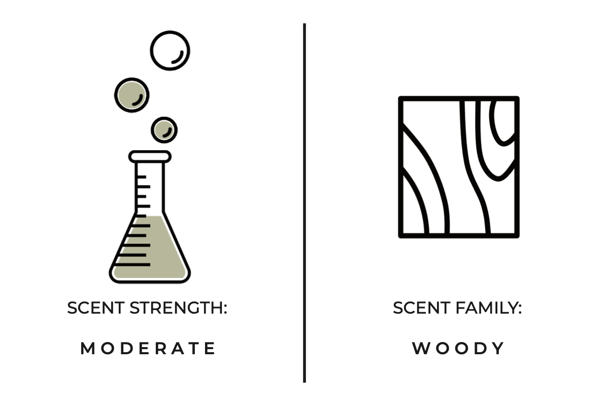 Icon of a beaker with bubbles labeled 'Scent Strength: Moderate' and an icon of wood labeled 'Scent Family: Woody' on a white background.