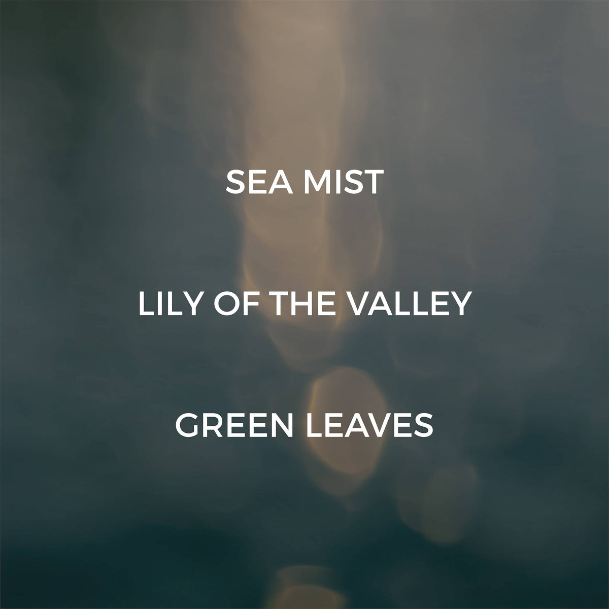 Album cover art for 'Sea Mist' by Lily of the Valley featuring the text 'GREEN LEAVES' in white capital letters over a soft-focus background of misty blue-green tones and warm golden bokeh.