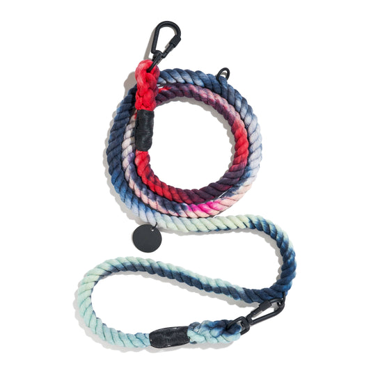 Colorful braided leash with black clip on a white background