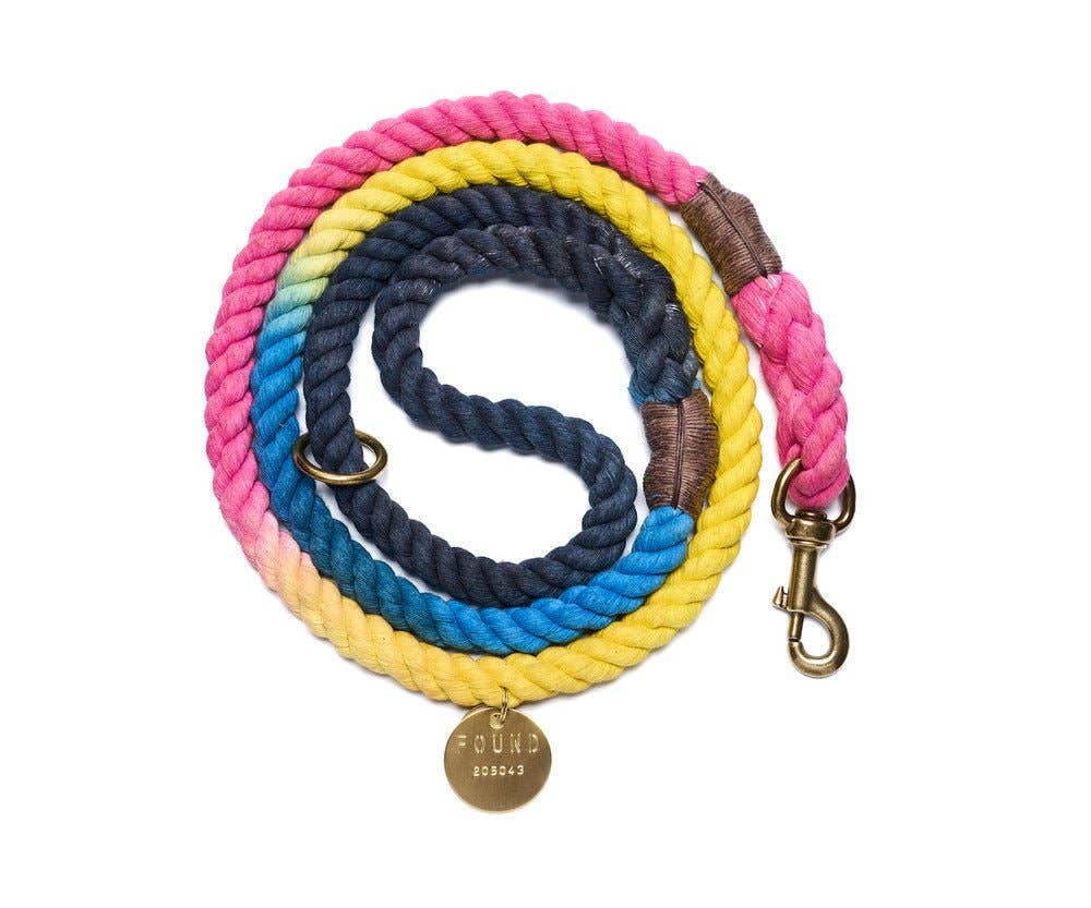 Colorful braided dog leash with a gold tag on a white background