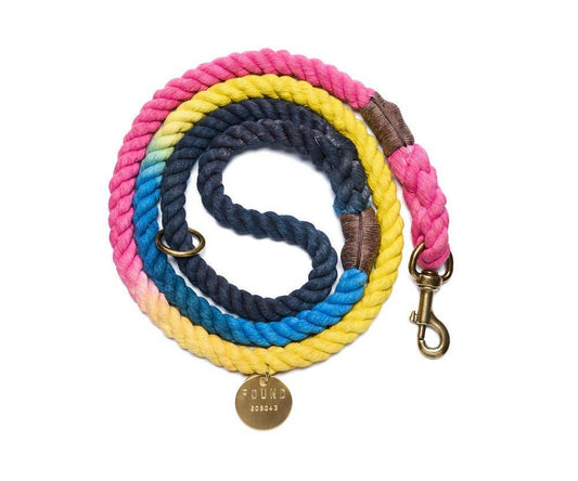 Colorful braided dog leash with a gold tag on a white background