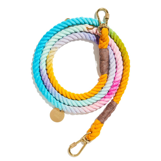 Colorful braided dog leash with gold clasp on a white background