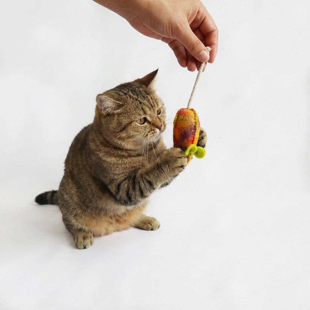 Cat playing with a toy carrot held by a hand on a white background