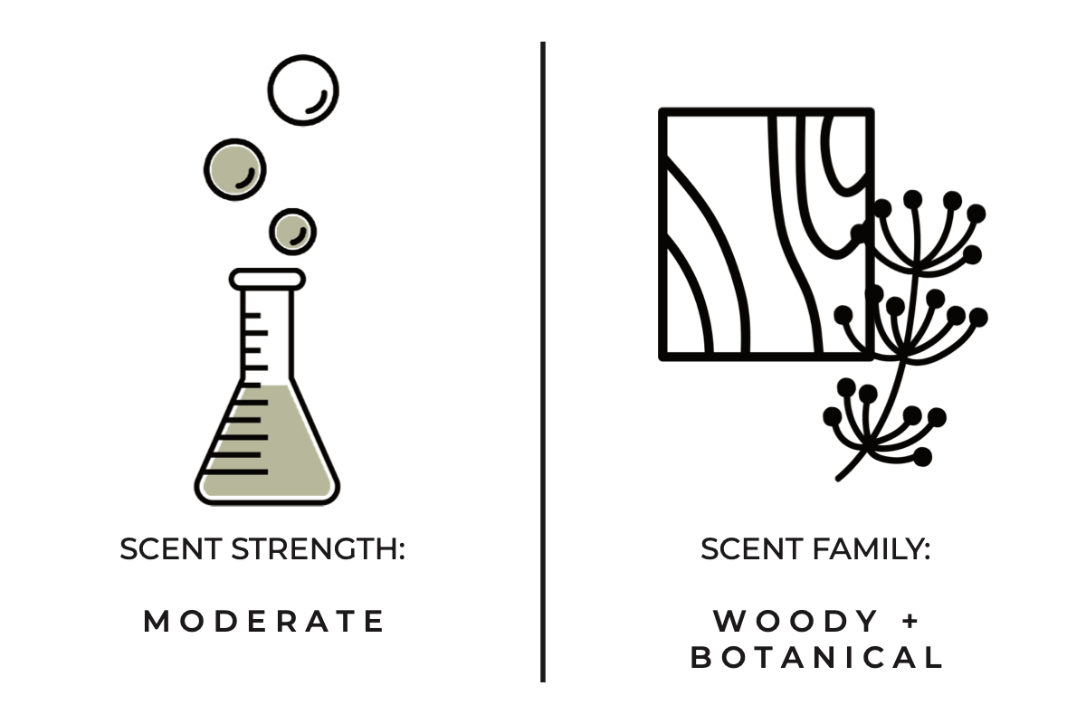 Illustrations of a beaker and plants with text indicating scent strength and family on a white background.