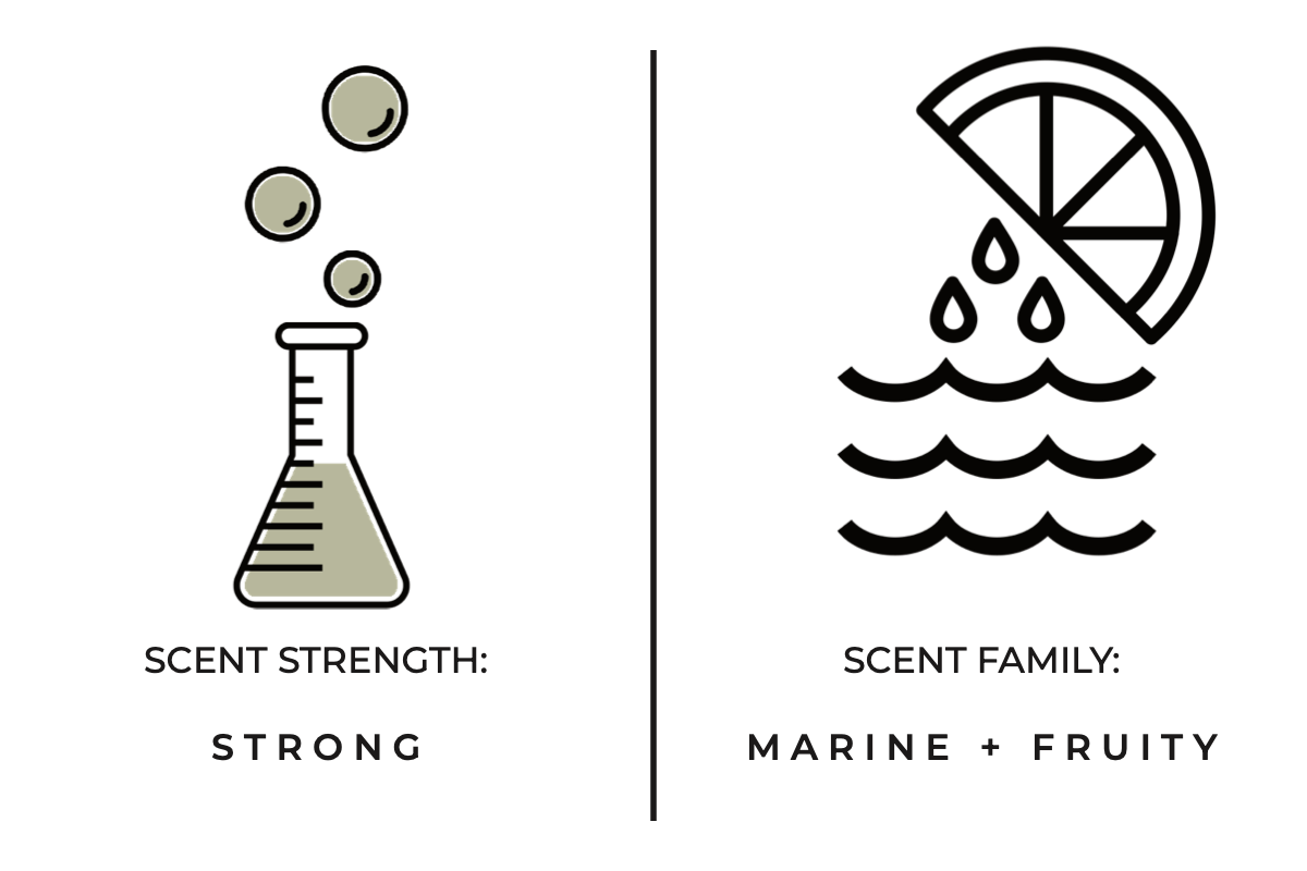 Illustrations of a beaker and lemon slice with text indicating scent strength and family on a white background.