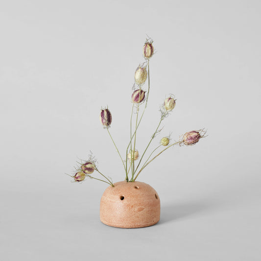 Small terracotta vase with dried flowers on a light gray background
