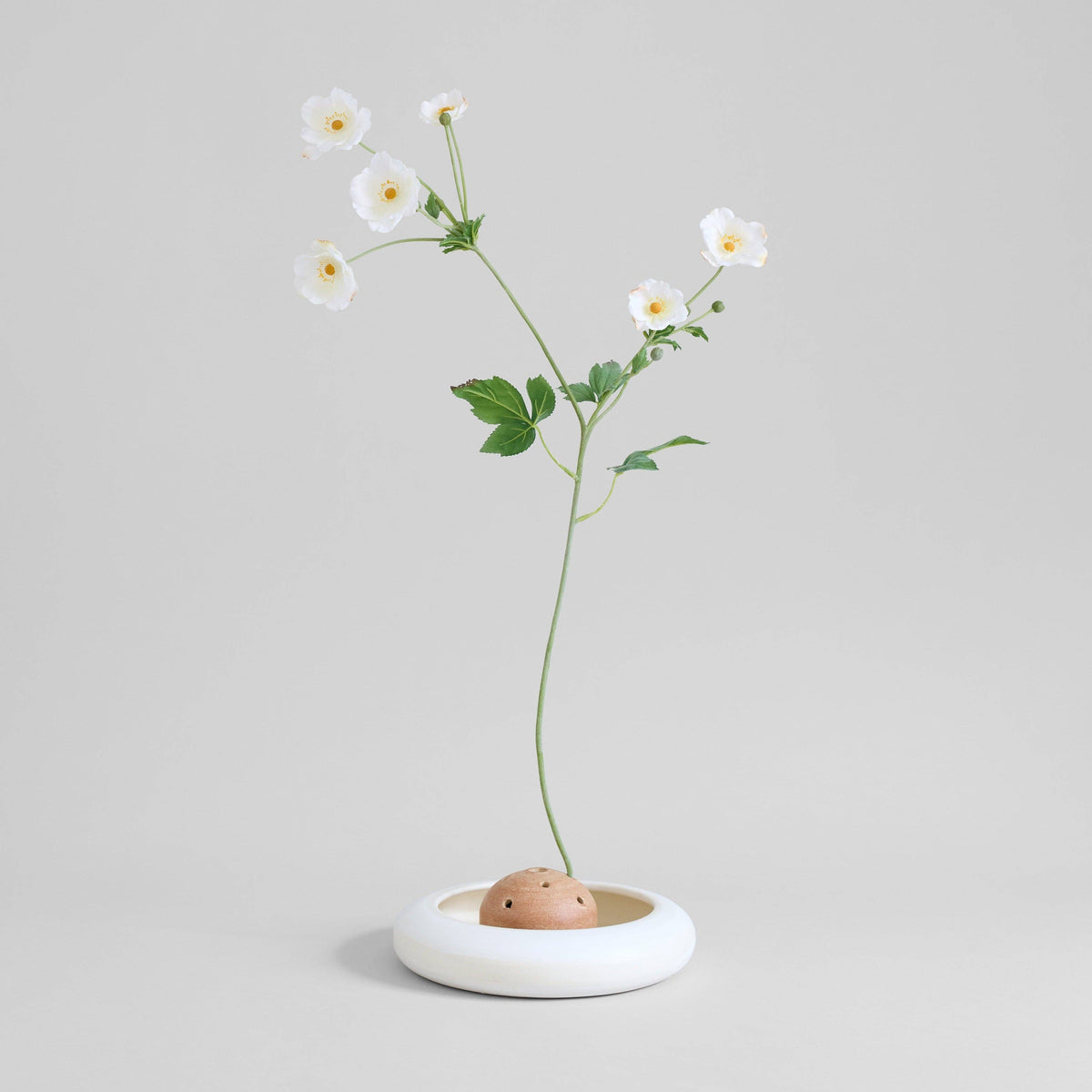 Small white vase with a single white flower on a light gray background