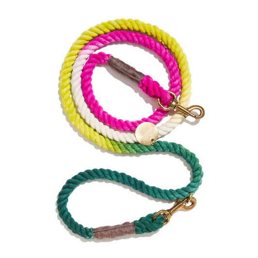 Colorful dog leash with gradient design on a white background