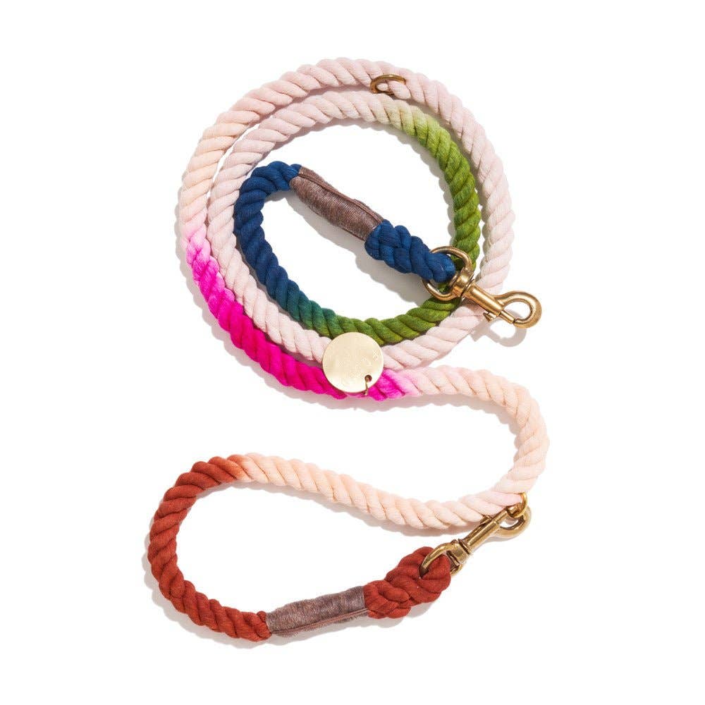 Colorful braided dog leash on a white background
