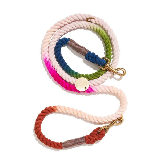 Colorful braided dog leash on a white background