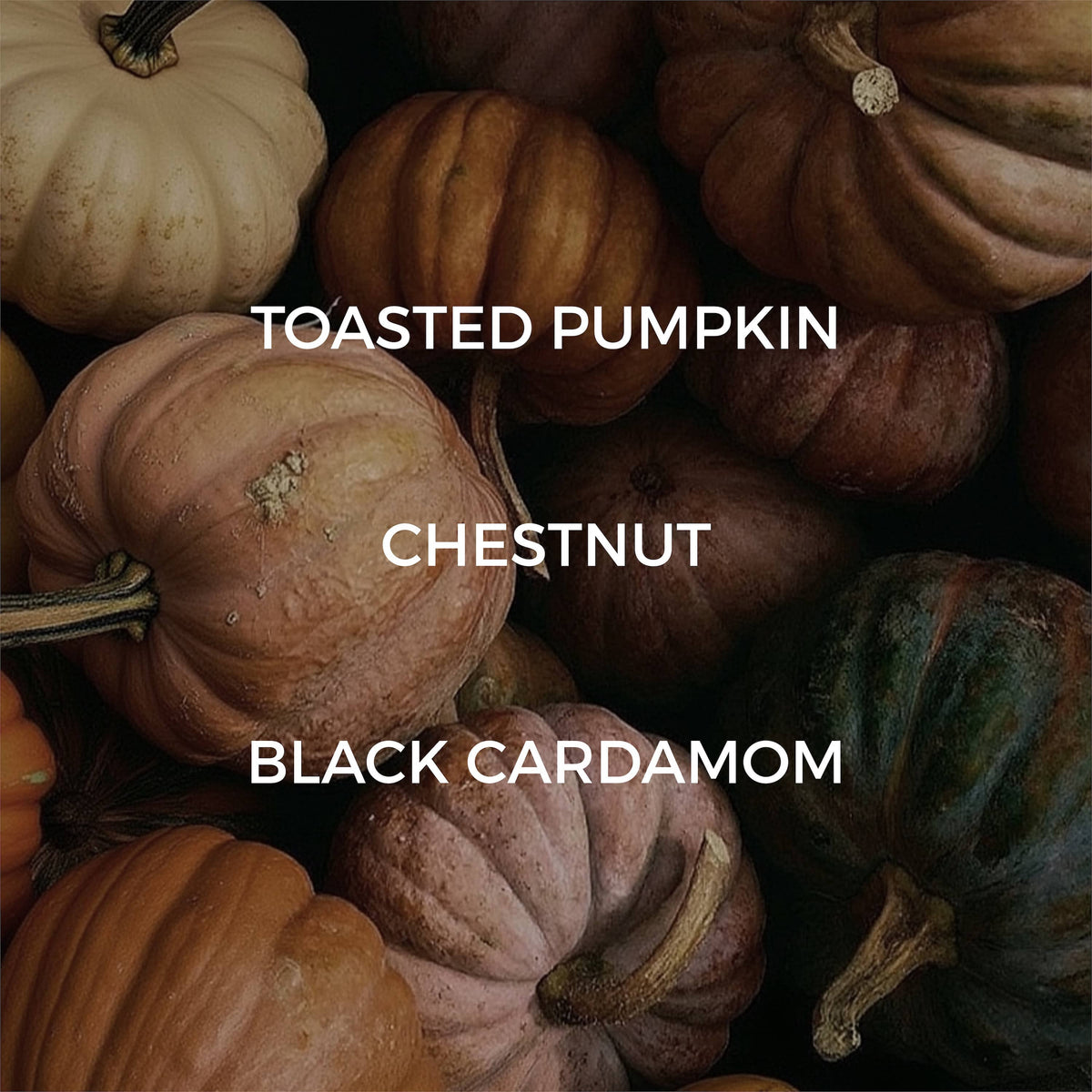 A close-up arrangement of pumpkins and gourds in earthy tones, with white overlaid text reading 'TOASTED PUMPKIN', 'CHESTNUT', and 'BLACK CARDAMOM'.