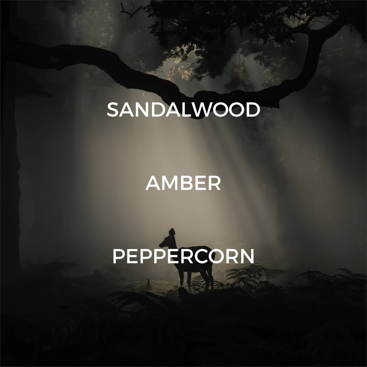 Dark atmospheric artwork showing a silhouetted figure standing beneath a tree in a misty forest, with the words SANDALWOOD, AMBER, and PEPPERCORN centered in white text.